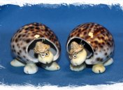 Как язык отражает наше восприятие мира