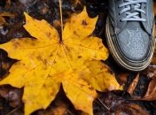 Кленовому листку варто радіти