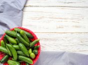 Огірки не обов’язково вирощувати у відкритому ґрунті