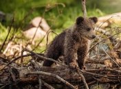Какой праздник 26 марта: народные приметы и запреты