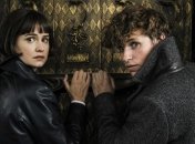 Съемки "Фантастических тварей 3" стартуют уже в этом феврале