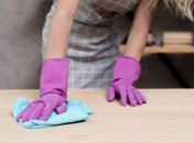 Пил є ворогом для всіх домочадців