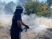 Огонь на Хортице удалось ликвидировать: полиция выясняет причины пожара (фото)