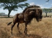 Палеонтологи обнаружили останки доисторической антилопы-динозавра  