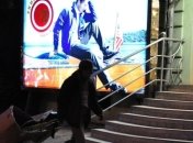 Брюссель, Вашингтон и Москва не решат проблемы Украины