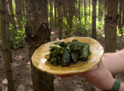 Вы потратите на них 5 минут вашего времени