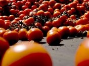 Помидоры и лук нельзя хранить в холодильнике