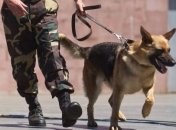 Правоохранители изъяли рекордное количество наркотиков