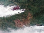 Площадь возгорания лесов в России продолжает расти