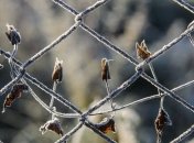 Погода на выходные: синоптики предупреждают о похолодании и сильном ветре