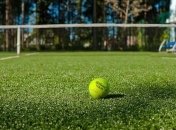 Белка выбежала на корт во время теннисного матча (Видео)