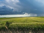 Ливни, ветер и грозы: что обещают синоптики в ближайшие дни 