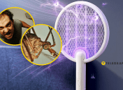 Люди намагаються вбити цю комаху