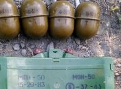 В Донецкой области полицейские нашли тайник с оружием