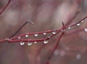 8 Марта погода в Украине ухудшится