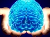 Крахмал благотворно влияет на умственные способности