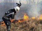 Спасатели продолжают тушить пожар в лесу Чернобыльской зоны (Видео)