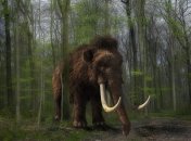 Факты о мамонтах, которые вы, возможно, не знали (Фото)