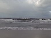 Польша и Дания начнут переговоры о делимитации морской границы