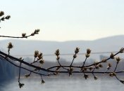 Метеоролог рассказала, какую погоду стоит ждать весной