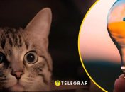 В некоторых районах Киева пропал свет 8 апреля