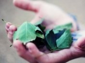 Главные секреты психического здоровья человека