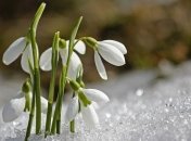 Приметы и обряды на 5 марта – День епископа Льва Катанского