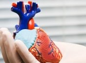 Застенчивые люди более склонны к болезням сердца