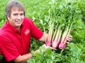 Сельдерей полезен для женского здоровья