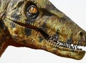 Обнаружен детеныш динозавра неизвестного ранее вида