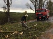 Сила стихии: Непогода обесточила 11 сел на Закарпатье (Фото)