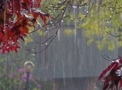 По-літньому спекотно, але з грозами: якою буде погода в Україні на початку тижня