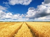 Украина экспортировала почти 5,3 млн тонн зерна