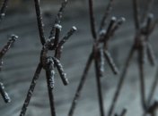 Невероятно! Казанова за решеткой