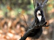 Погода в Украине 28 октября: преимущественно без осадков