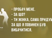 Анекдоти на вечір та чому кіт не розмовляє