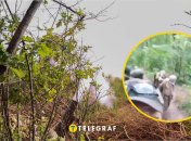 Пленные бойцы