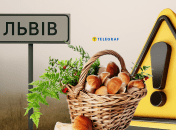 Посеред Львова помітили гливи