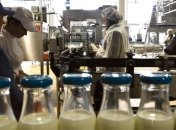 РФ ограничила поставки "молочки" из Беларуси 