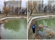 Озеро Блакитне привели до ладу