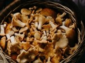 Чистить грибы нужно правильно