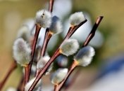 Категорично забороняється влаштовувати галасливі гуляння на Вербну неділю