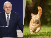 Украинцы шутят, что о таком коте мечтает каждый украинец