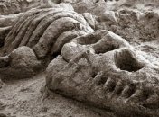 Масштабы великого вымирания 250 млн лет назад связали с озоновым слоем