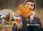 Заборони на 2 листопада