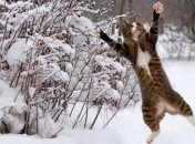 На 22 января синоптики прогнозируют мороз до 20 градусов