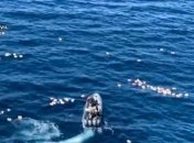 В Испании наркоторговцы спасли полицейских, которые их преследовали (Видео)