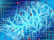 ИИ научили диагностировать генетические заболевания по фото 