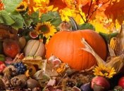 Что посадить на огороде в июле?