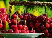 Самая вкусная ягода лета: польза и вред черешни